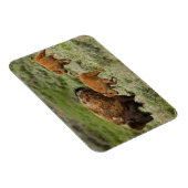 Lamar Valley Mini Stampede Magneet (Rechterzijde)