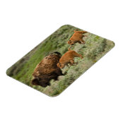 Lamar Valley Mini Stampede Magneet (Linkerzijde)