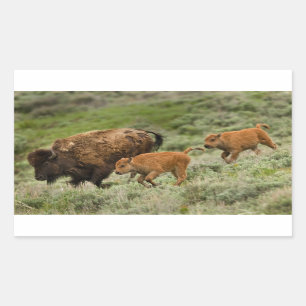 Lamar Valley Mini Stampede Rechthoekige Sticker