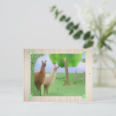 Lamas Briefkaart (Staand voorkant)