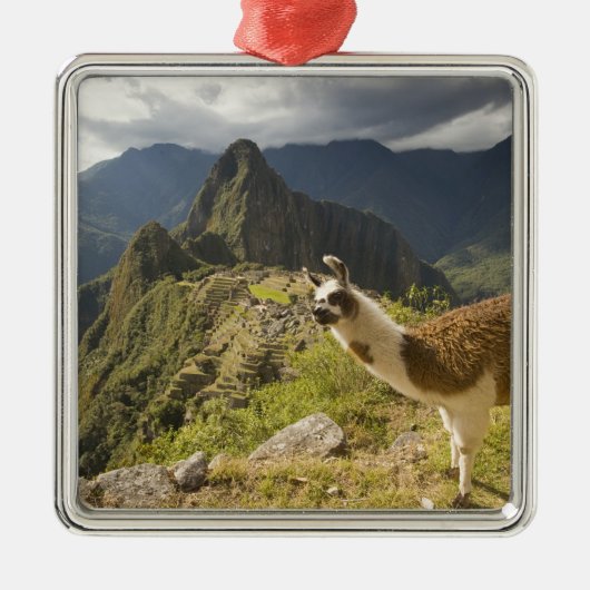 Lamas en een overblik op Machu Picchu, Metalen Ornament (Voorkant)