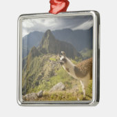 Lamas en een overblik op Machu Picchu, Metalen Ornament (Links)