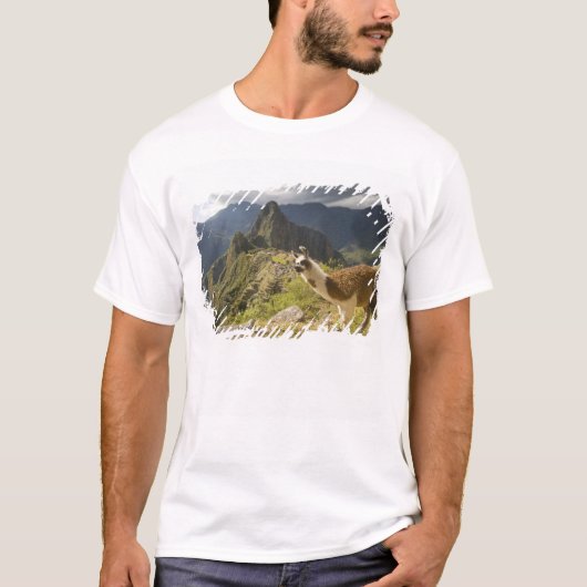 Lamas en een overblik op Machu Picchu, T-shirt (Voorkant)