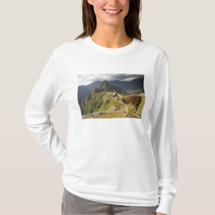 Lamas en een overblik op Machu Picchu, T-shirt