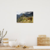 Lama's en een uitzicht op Machu Picchu, Poster (Keuken)