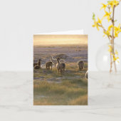 Lama's in de Zonsondergang Kaart (Gele Bloem)