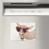 Lamas in tinten: februari magneet 3.5 "x2.5" (Insitu (Vaatwasser))