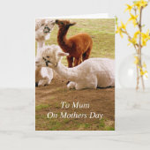 Lama's met de Moederdag van Cria van het Baby Kaart (Gele Bloem)