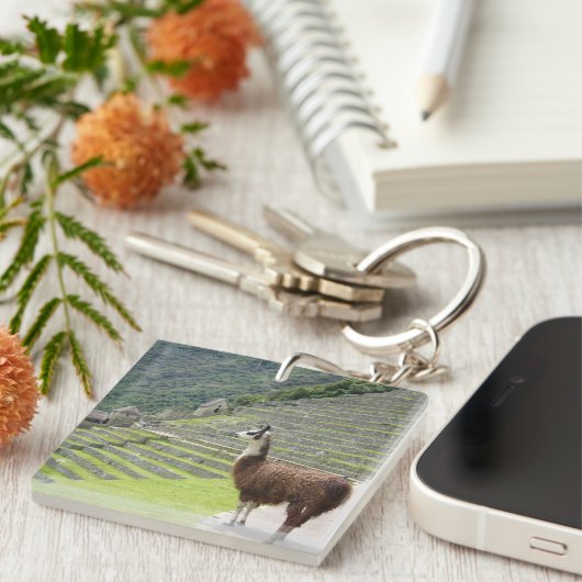 lamas sleutelhanger (Voorkant Rechts)