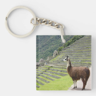 lamas sleutelhanger