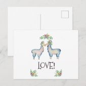 Lama's Verliefd Briefkaart (Voorkant / Achterkant)