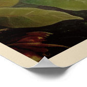 L'Amazone Travel Poster (Hoek)