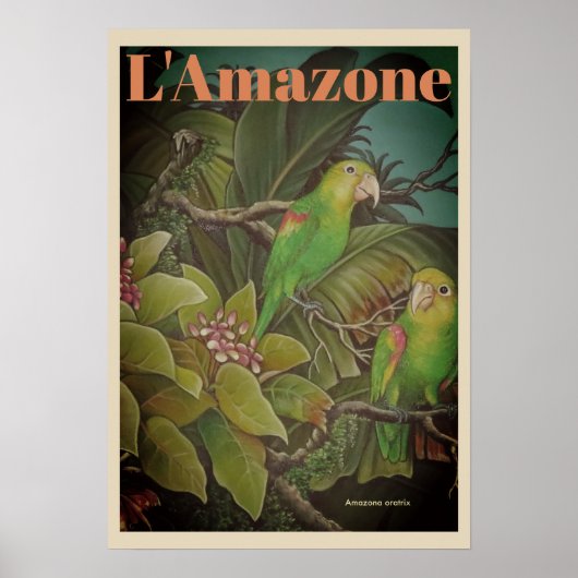 L'Amazone Travel Poster (Voorkant)