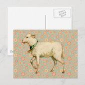  Lamb Art Briefkaart (Voorkant / Achterkant)
