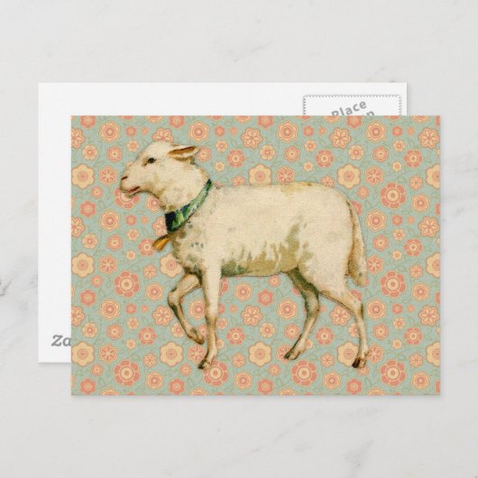  Lamb Art Briefkaart (Voorkant / Achterkant)