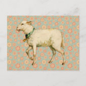 Lamb Art Briefkaart (Voorkant)