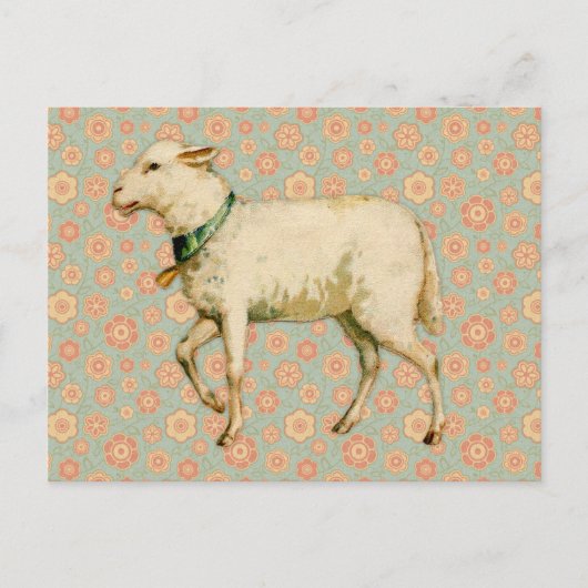  Lamb Art Briefkaart (Voorkant)