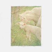 Lamb Baby Animals Sheep Fleece Deken (Voorkant)