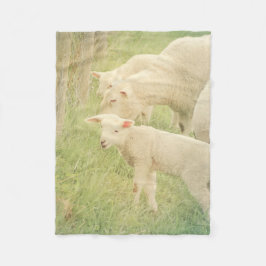 Lamb Baby Animals Sheep Fleece Deken