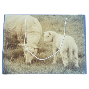 Lamb Baby Animals Sheep Groot Cadeauzakje