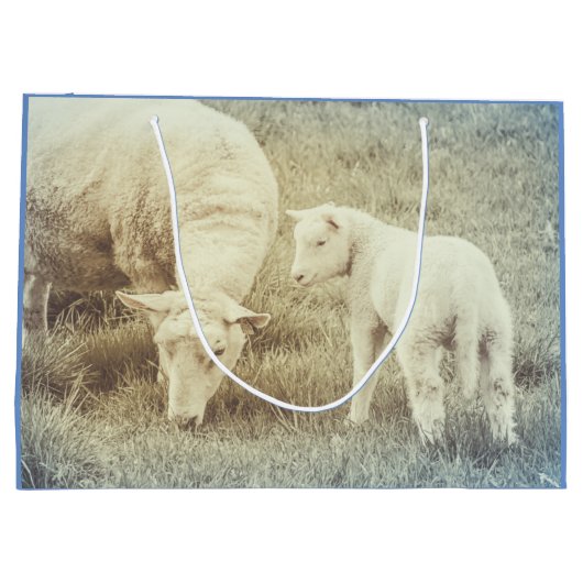 Lamb Baby Animals Sheep Groot Cadeauzakje (Achterkant)