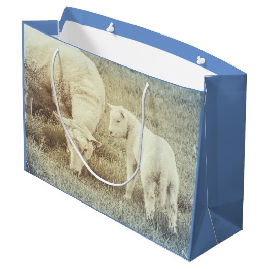 Lamb Baby Animals Sheep Groot Cadeauzakje (Achterkant Gekanteld)