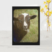 Lamb Birthday Kaart (Gele Bloem)