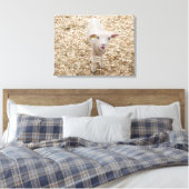 Lamb Canvas Afdruk (Insitu (Slaapkamer))