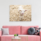 Lamb Canvas Afdruk (Insitu (Woonkamer))