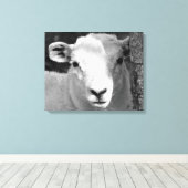LAMB CANVAS AFDRUK (Insitu (Houten vloer))