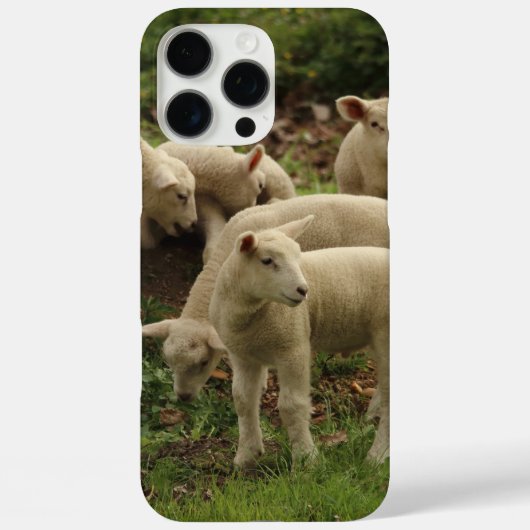 Lamb Case-Mate iPhone case (Achterkant)