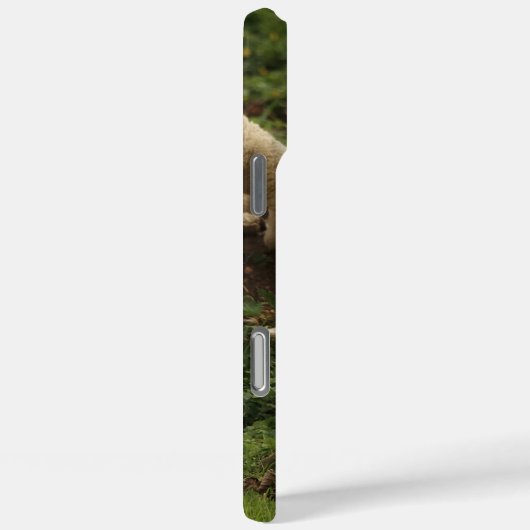 Lamb Case-Mate iPhone case (Achterkant / Rechts)