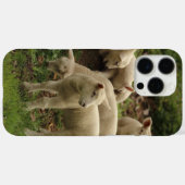 Lamb Case-Mate iPhone case (Achterkant (horizontaal))