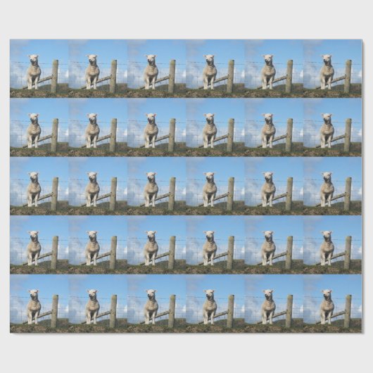 LAMB CUTE CADEAUPAPIER (Vlak)