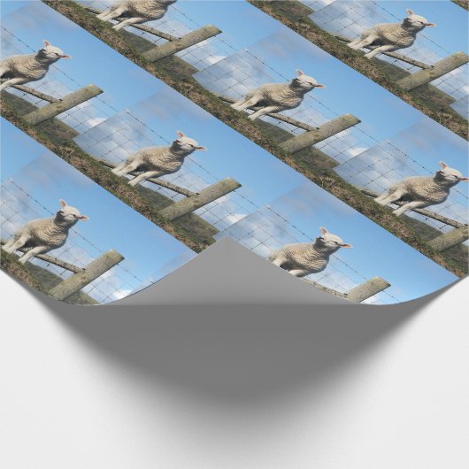 LAMB CUTE CADEAUPAPIER (Hoek)