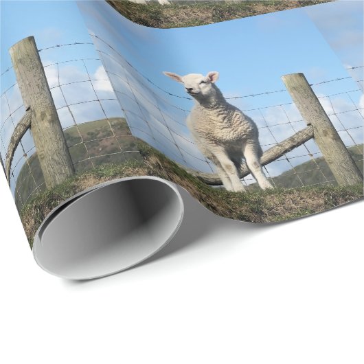 LAMB CUTE CADEAUPAPIER (Rol Hoek)