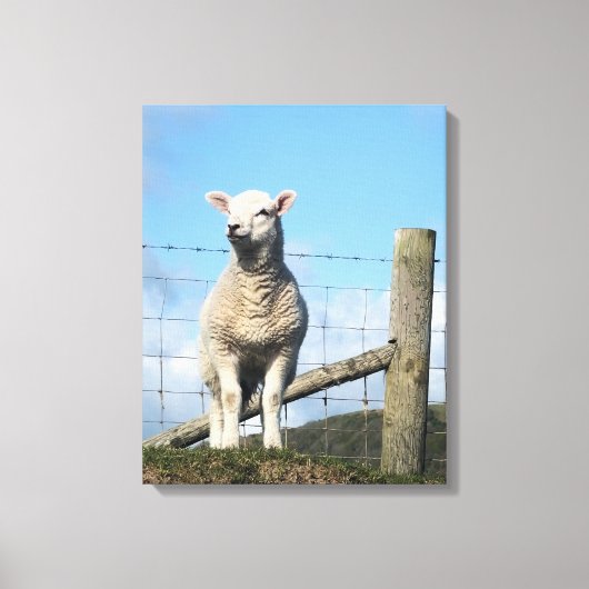 LAMB CUTE CANVAS AFDRUK (Voorkant)