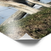 LAMB CUTE FOTO AFDRUK (Hoek)