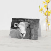 LAMB CUTE KAART (Gele Bloem)