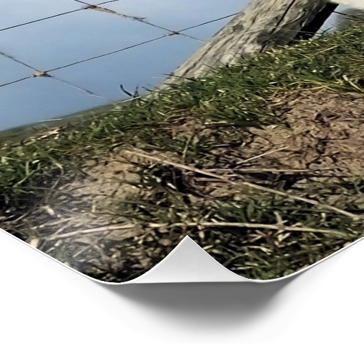 LAMB CUTE PERFECT POSTER (Hoek)