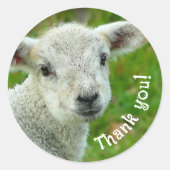 Lamb Face Hartelijk dank voor uw geweldige bedrijf Ronde Sticker (Voorkant)