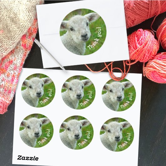 Lamb Face Hartelijk dank voor uw geweldige bedrijf Ronde Sticker