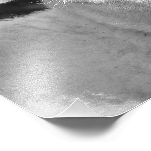 LAMB FOTO AFDRUK (Hoek)