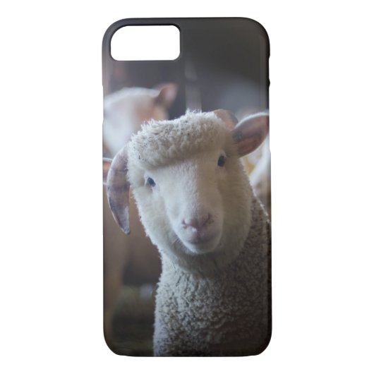 Lamb gepauzeerd iPhone 8/7 Hoesje (Achterkant)