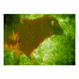 Lamb in een sterveld