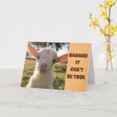 LAMB KAN GEWOON NIET GELOVEN DAT JE *80* VERJAARDA KAART (Gele Bloem)