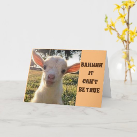 LAMB KAN GEWOON NIET GELOVEN DAT JE *80* VERJAARDA KAART (Gele Bloem)