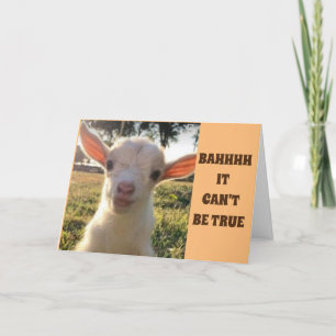 LAMB KAN GEWOON NIET GELOVEN DAT JE *80* VERJAARDA KAART