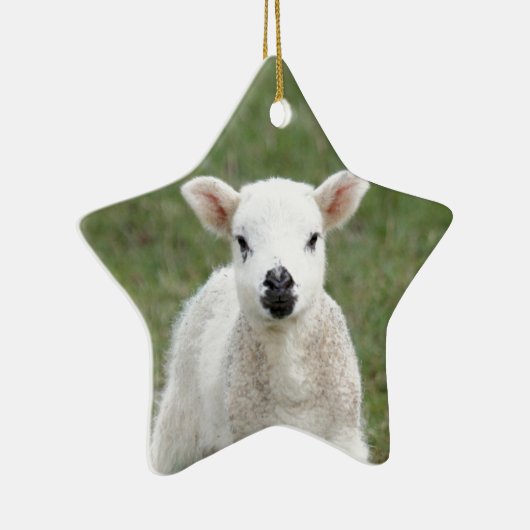 Lamb Keramisch Ornament (Rechts)