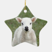 Lamb Keramisch Ornament (Voorkant)